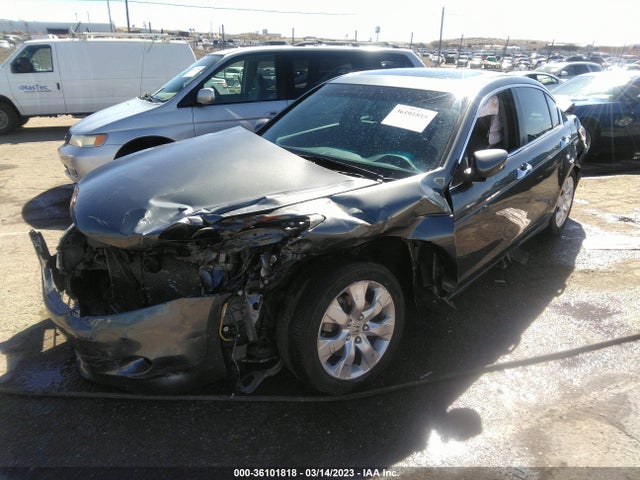 2010 HONDA ACCORD SDN EX-L VIN: 1HGCP3F83AA002345