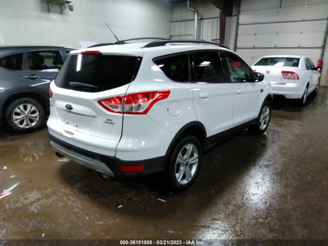 1FMCU9GXXGUC16249 Ford ESCAPE SE