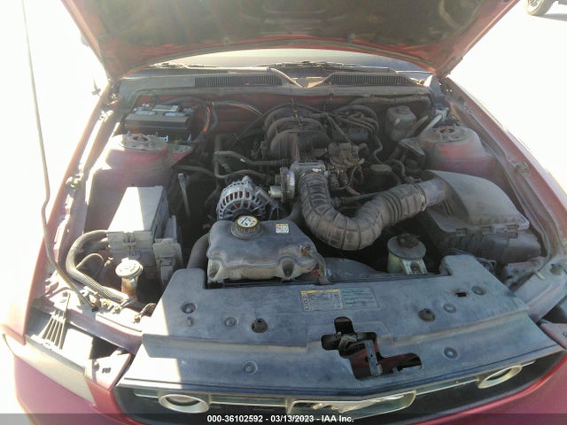 2006 FORD MUSTANG STANDARD/DELUXE/PREMIUM VIN: 1ZVFT80N665220649