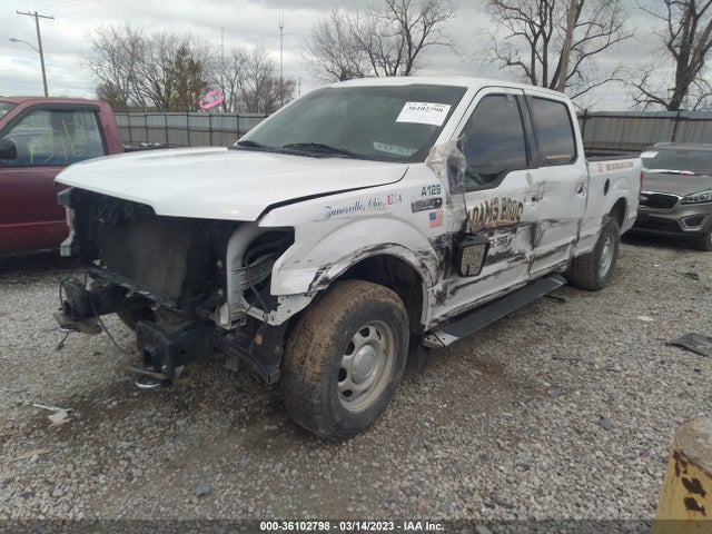 2019 Ford F-150, VIN: 1FTFW1E5XKFB84706