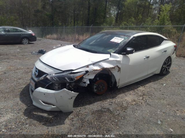1N4AA6AP1HC453799 Nissan Maxima Platinum