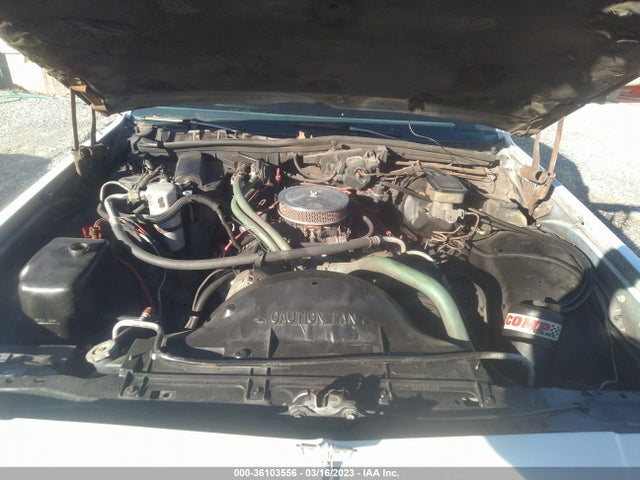 1988 CHEVROLET CAPRICE VIN: 1G1BL5167JR169339