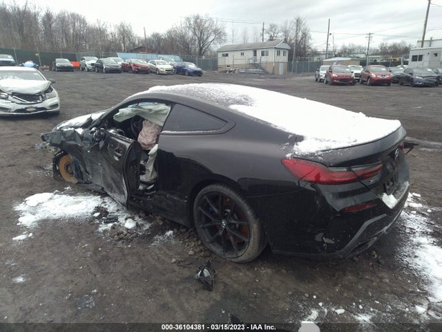 2019 BMW 8 Series, VIN: WBABC4C52KBU95465