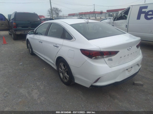 Hyundai SONATA SEL 2019 5NPE34AF1KH782922 Image 4