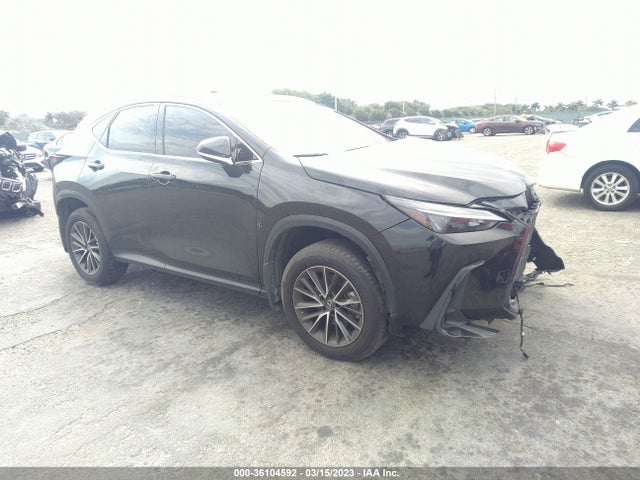2022 Lexus NX, VIN: JTJADCAZ1N5001155