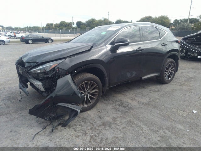 2022 Lexus NX, VIN: JTJADCAZ1N5001155