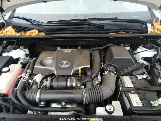 JTJGARDZ0L2218731 Lexus NX