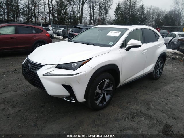 JTJGARDZ0L2218731 Lexus NX