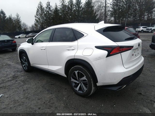 JTJGARDZ0L2218731 Lexus NX