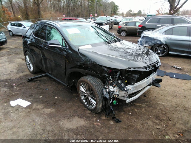 2022 Lexus NX, VIN: 2T2HKCEZ1NC005240