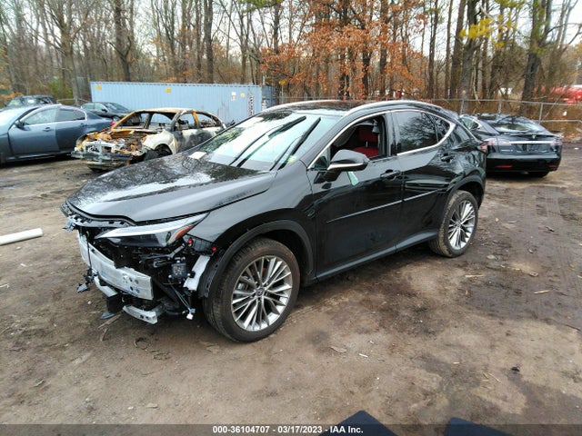 2022 Lexus NX, VIN: 2T2HKCEZ1NC005240