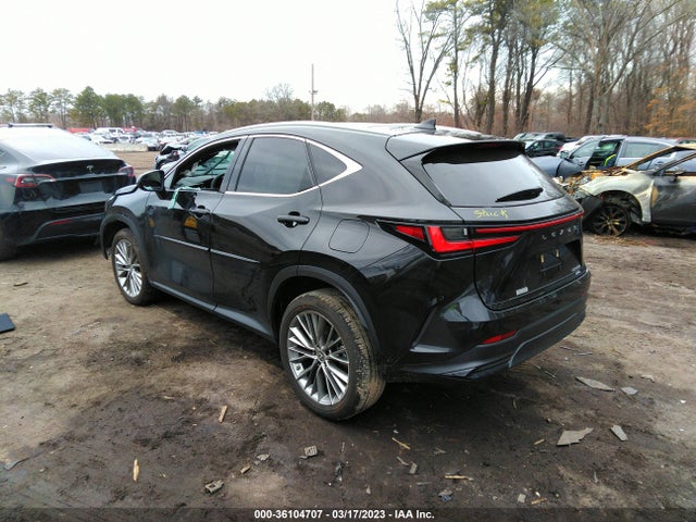 2022 Lexus NX, VIN: 2T2HKCEZ1NC005240
