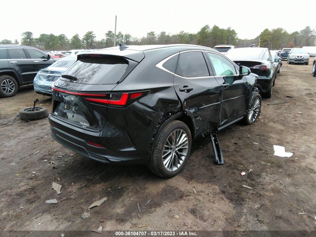 2022 Lexus NX, VIN: 2T2HKCEZ1NC005240