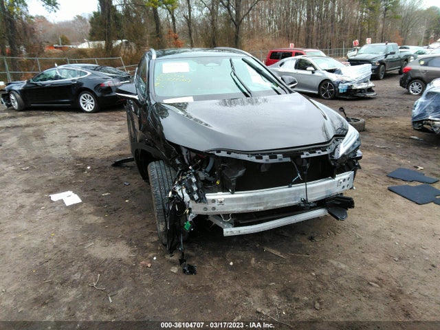2022 Lexus NX, VIN: 2T2HKCEZ1NC005240