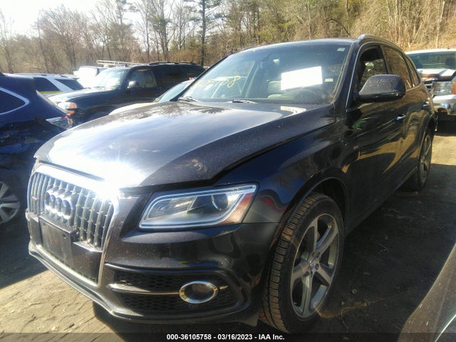WA1D7AFP2GA113762 Audi Q5 Premium Plus