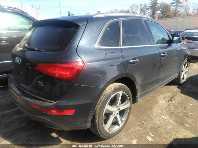 WA1D7AFP2GA113762 Audi Q5 Premium Plus