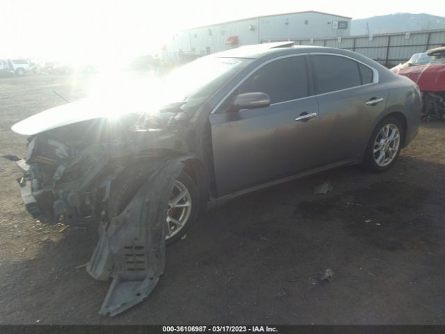 1N4AA5AP5EC485077 Nissan MAXIMA 3.5