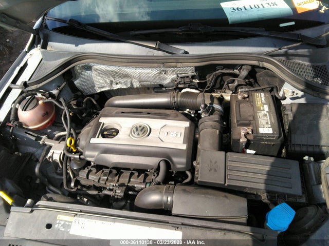 WVGAV3AXXEW545013 Volkswagen TIGUAN S