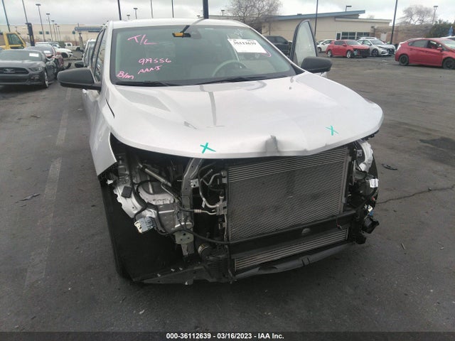 Chevrolet EQUINOX LS 2021 3GNAXHEV8MS175332 Image 6