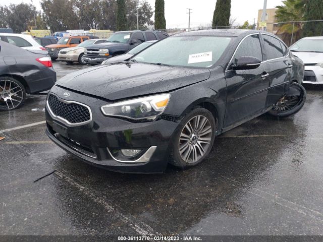 KNALN4D7XF5176544 KIA Cadenza Premium