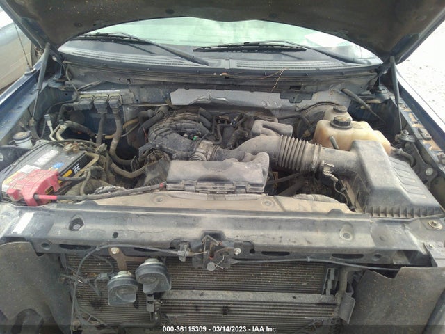2011 FORD F-150 XL/XLT VIN: 1FTEW1CM0BKD70039