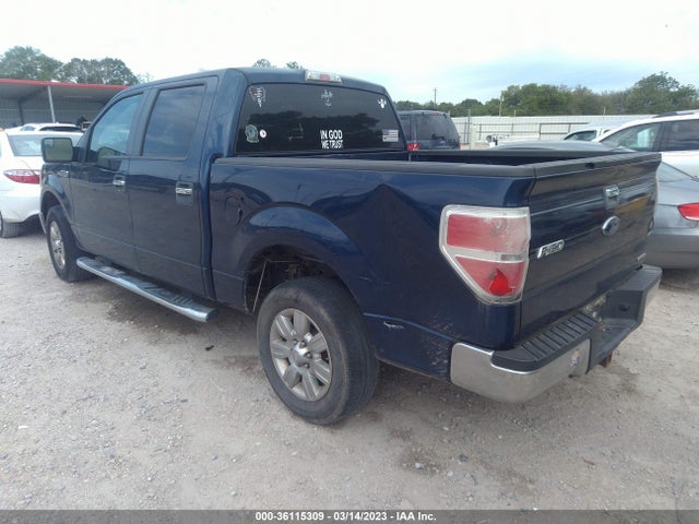 2011 FORD F-150 XL/XLT VIN: 1FTEW1CM0BKD70039