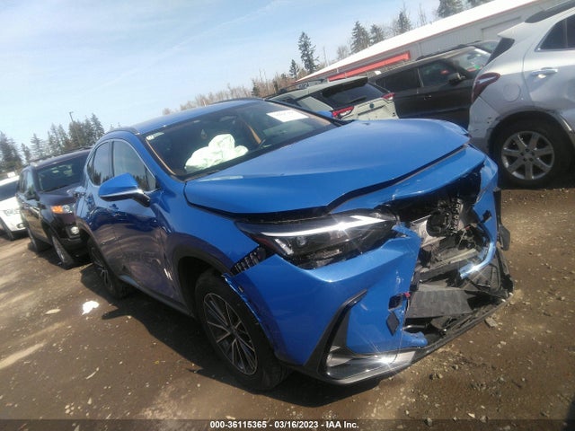 2022 Lexus NX, VIN: JTJADCAZ1N2001822