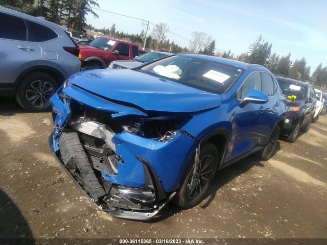 2022 Lexus NX, VIN: JTJADCAZ1N2001822