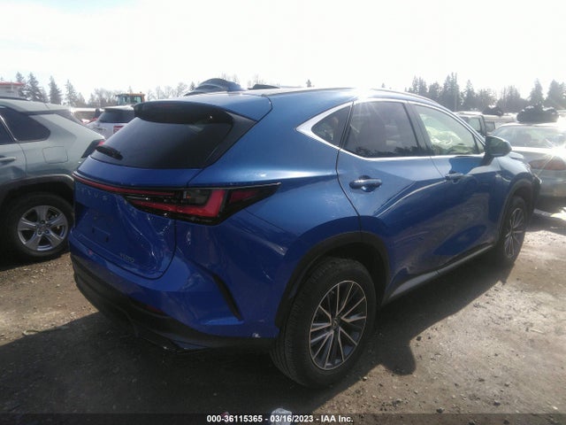 2022 Lexus NX, VIN: JTJADCAZ1N2001822