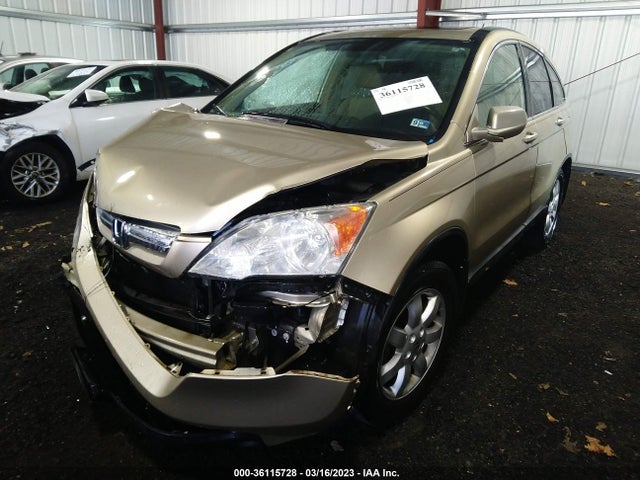 2009 HONDA CR-V EX-L VIN: 5J6RE48709L058133