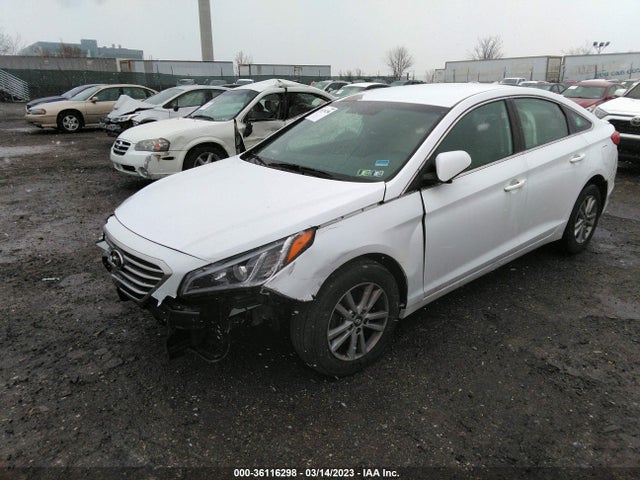 Hyundai Sonata 2016 5NPE24AF8GH309139 Image 2