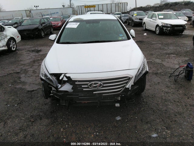 Hyundai Sonata 2016 5NPE24AF8GH309139 Image 6