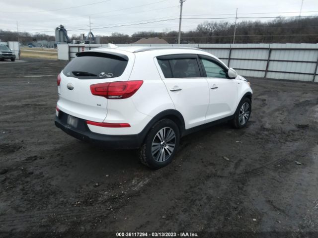 KNDPCCAC8E7618245 KIA Sportage Ex
