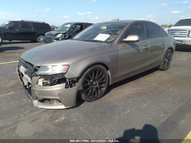 WAUAFAFL3AN014468 Audi A4 2.0t Premium