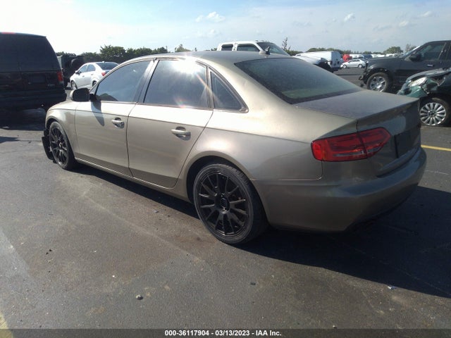 WAUAFAFL3AN014468 Audi A4 2.0t Premium