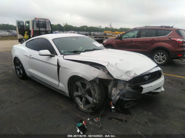 2015 Ford Fastback, VIN: 1FA6P8AM5F5316856