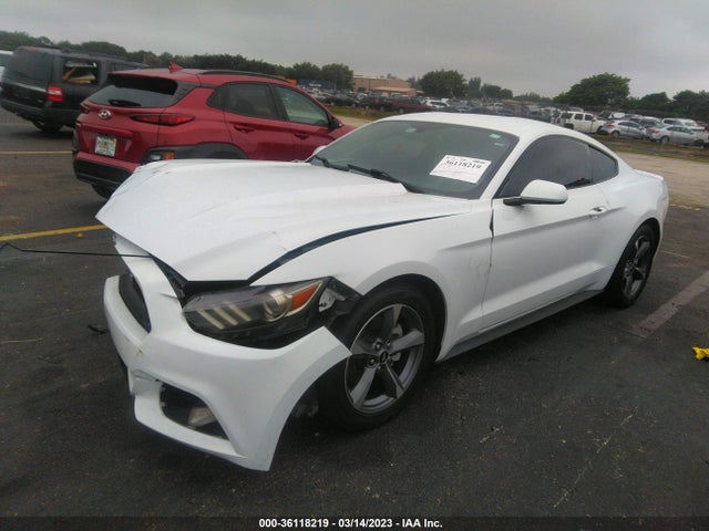 2015 Ford Fastback, VIN: 1FA6P8AM5F5316856
