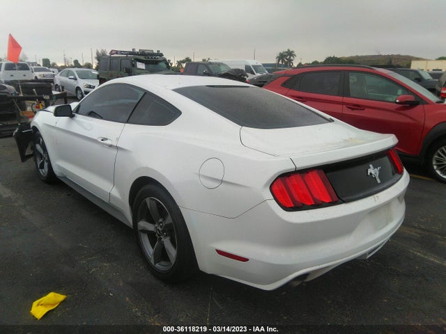 2015 Ford Fastback, VIN: 1FA6P8AM5F5316856