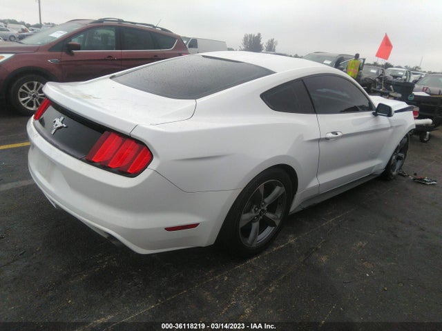 2015 Ford Fastback, VIN: 1FA6P8AM5F5316856