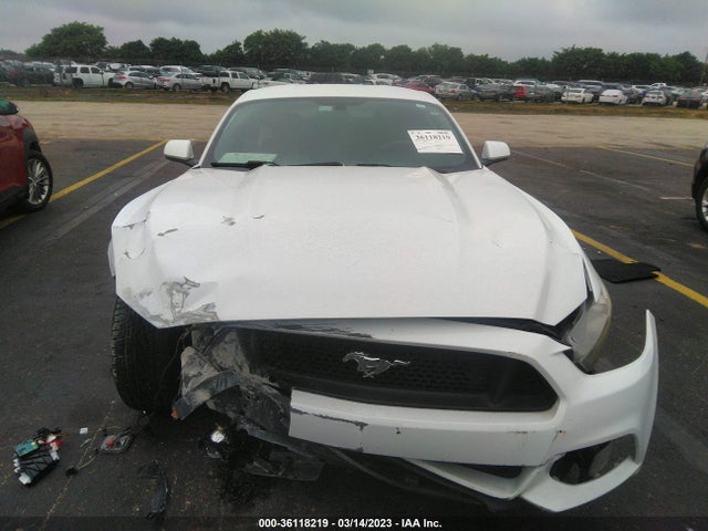 2015 Ford Fastback, VIN: 1FA6P8AM5F5316856