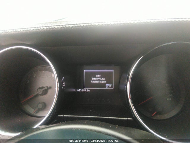 2015 Ford Fastback, VIN: 1FA6P8AM5F5316856