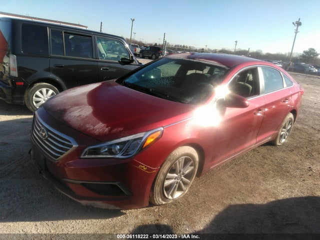 2016 Hyundai Sonata, VIN: 5NPE24AF3GH411786