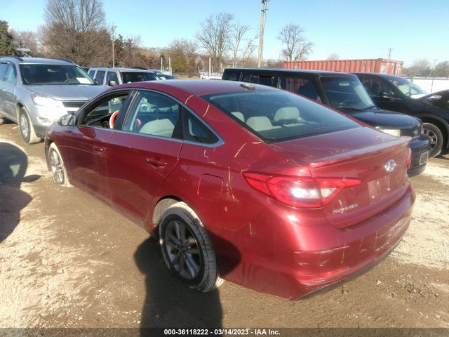 2016 Hyundai Sonata, VIN: 5NPE24AF3GH411786