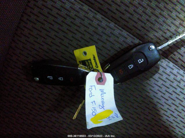 1FTFX1EF1GKD81851 Ford F-150 Xlt/xl/lariat