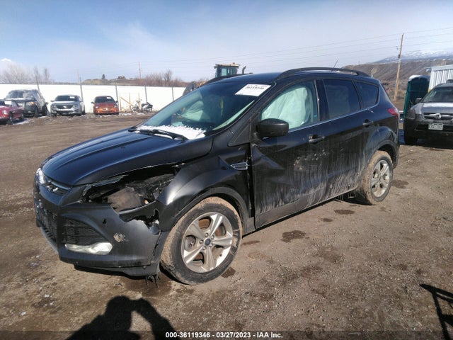 Ford ESCAPE SE 2016 1FMCU9GX1GUB13639 Image 2