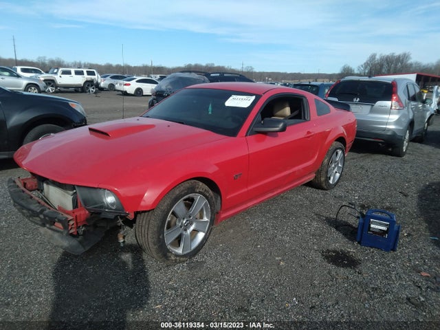 2007 FORD MUSTANG GT VIN: 1ZVHT82H575365165