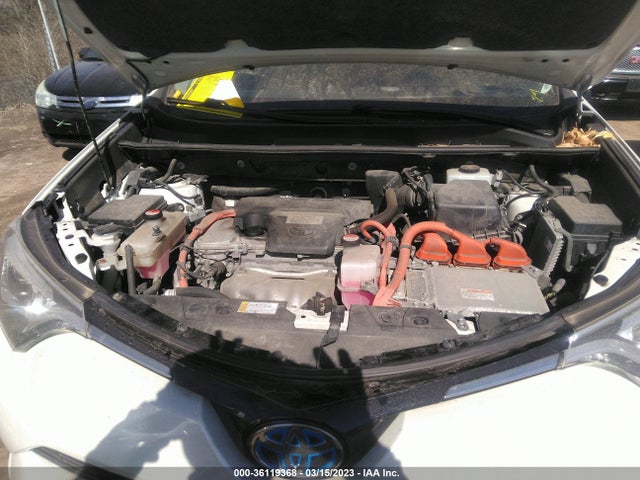 2016 Toyota RAV4, VIN: JTMDJREV7GD008283