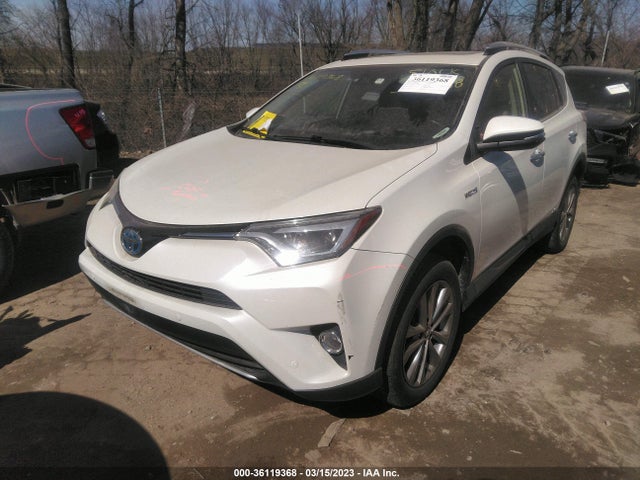 2016 Toyota RAV4, VIN: JTMDJREV7GD008283