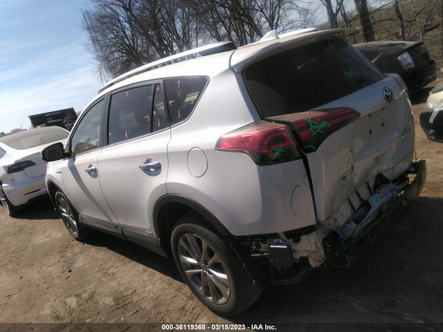 2016 Toyota RAV4, VIN: JTMDJREV7GD008283