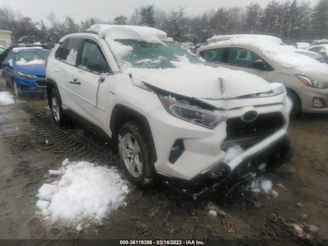 2019 Toyota RAV4, VIN: 2T3RWRFV2KW027471